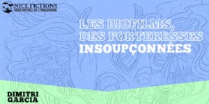 Les biofilms, des forteresses insoupçonnées